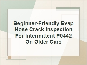 Beginner-Friendly Evap Hose Crack Inspection for P0442