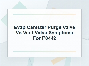 P0442 Symptoms: Purge Valve Vs. Vent Valve