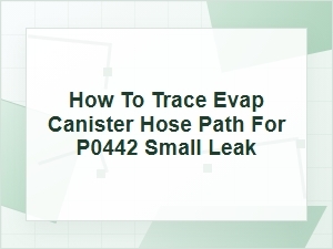 How to Trace Evap Canister Hose Path for P0442